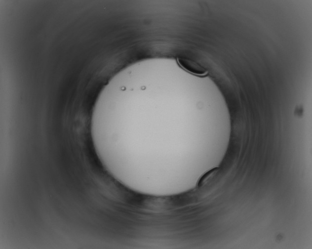 X0000101120079200807172010