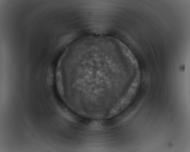 X0000101120080200807172010