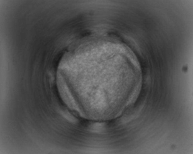 X0000101120081200807172010