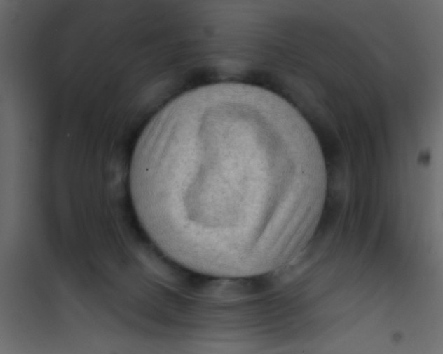 X0000101120082200807172010
