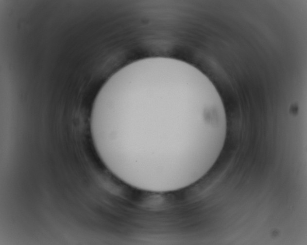 X0000101120083200807172010