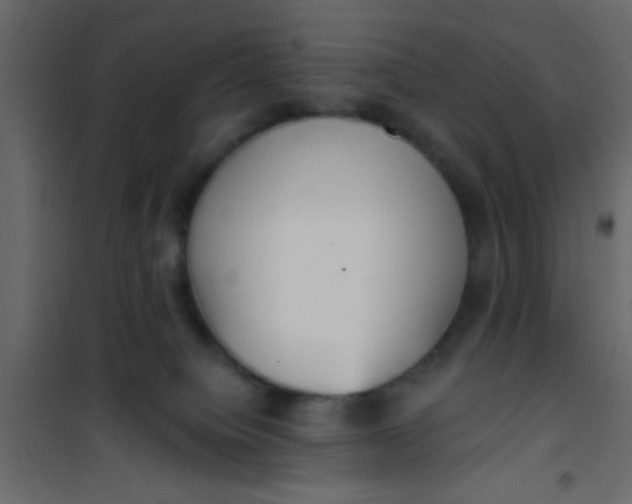 X0000101120084200807172010