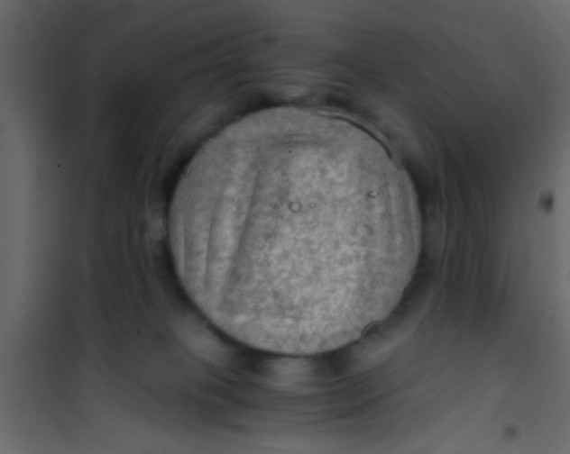 X0000101120085200807172010