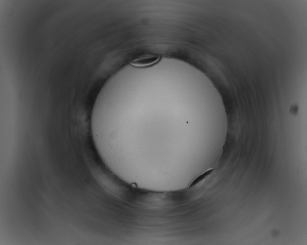 X0000101120086200807172010