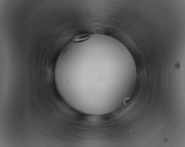 X0000101120088200807172010