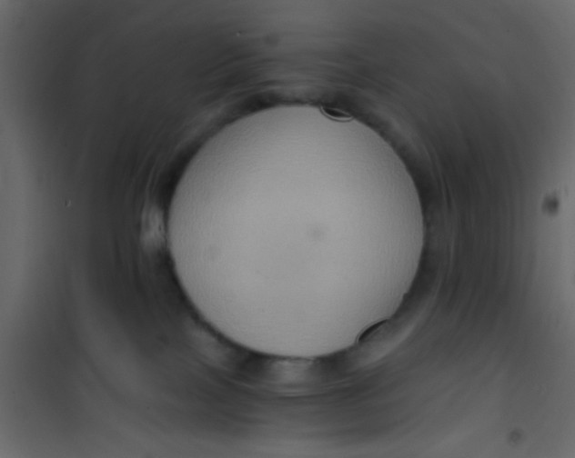 X0000101120089200807172010