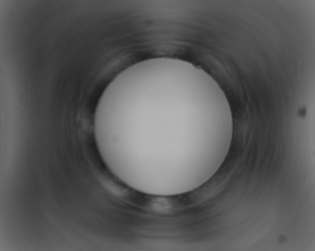 X0000101120091200807172010