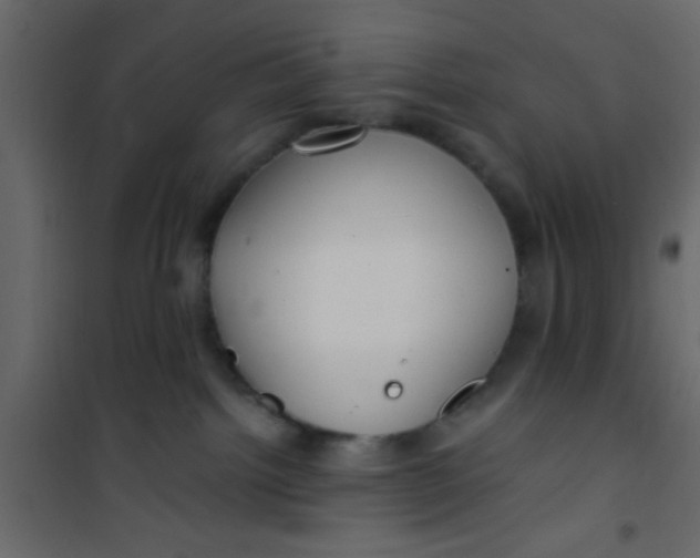X0000101120092200807172010