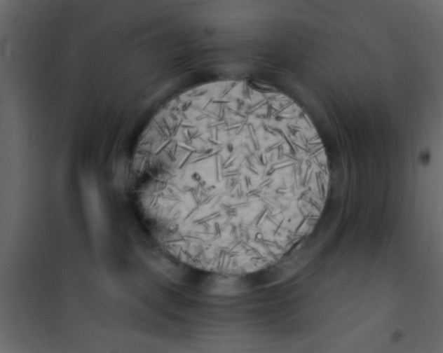 X0000101120093200807172010