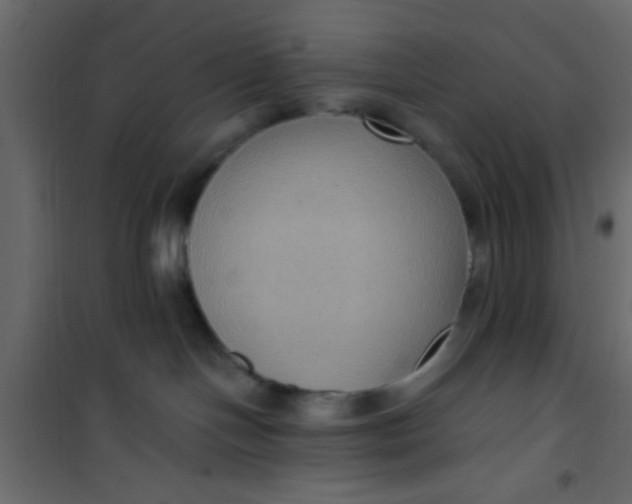 X0000101120094200807172010