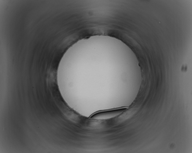X0000101120096200807172010