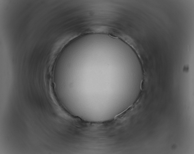 X0000101120097200807172009