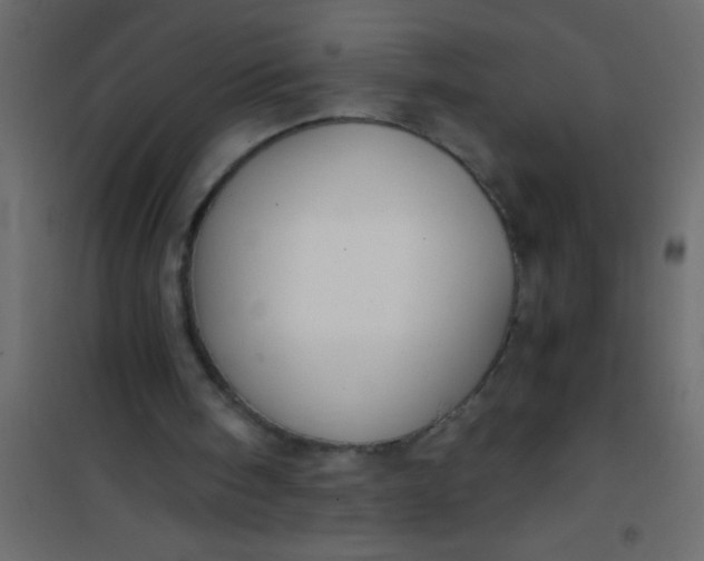 X0000101120098200807172009