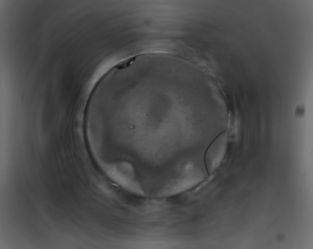 X0000101120099200807172009