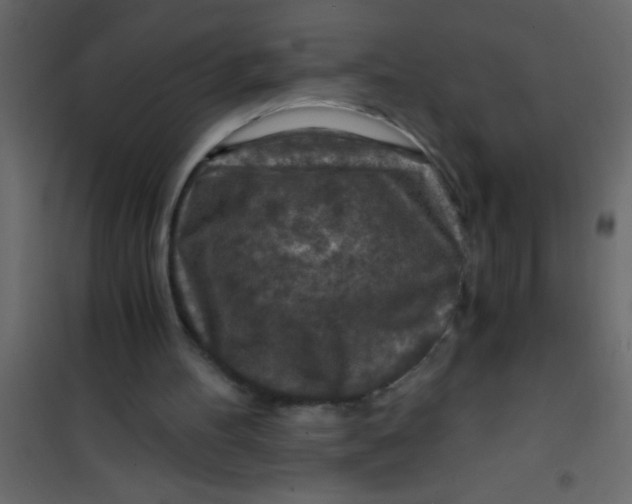 X0000101120100200807172009