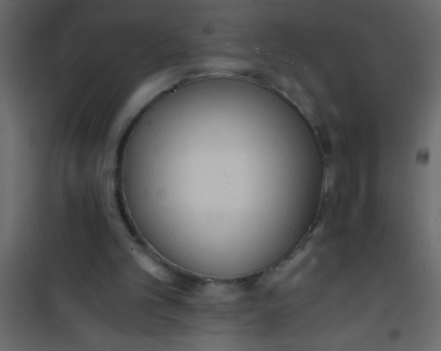 X0000101120101200807172009
