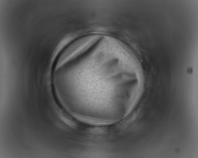 X0000101120102200807172009