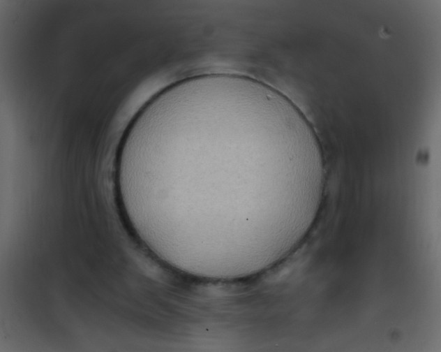 X0000101120103200807172009