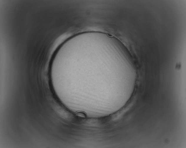X0000101120104200807172009