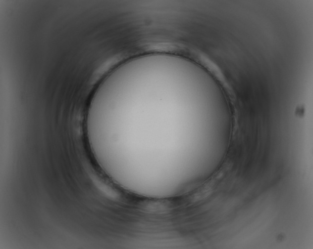 X0000101120106200807172009
