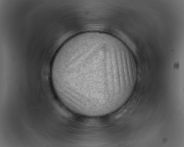 X0000101120107200807172009