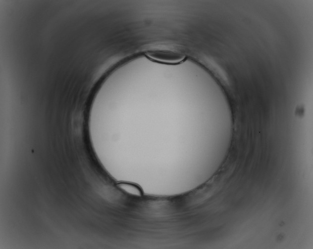 X0000101120108200807172009