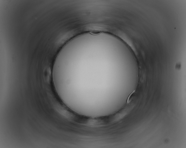X0000101120109200807172009