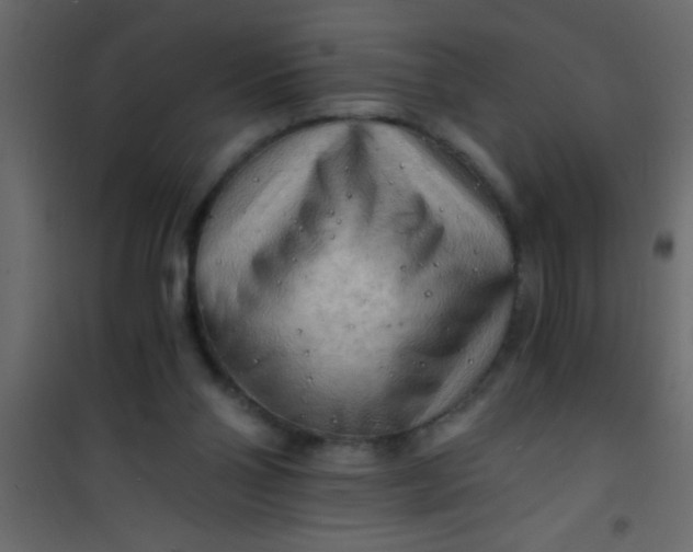 X0000101120110200807172009