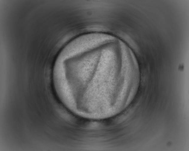 X0000101120111200807172009