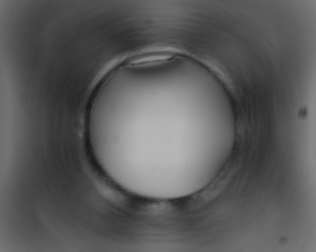X0000101120112200807172009