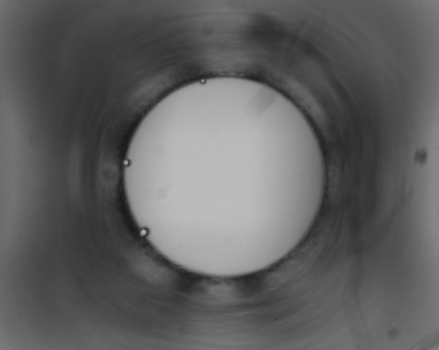 X0000101120113200807172009