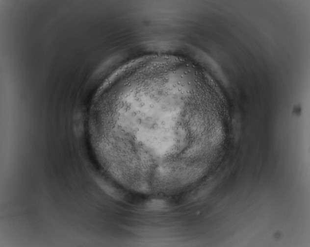 X0000101120114200807172009