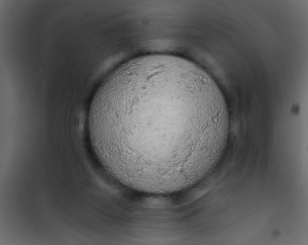 X0000101120115200807172009