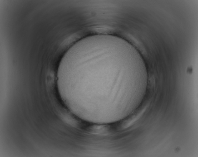 X0000101120117200807172009