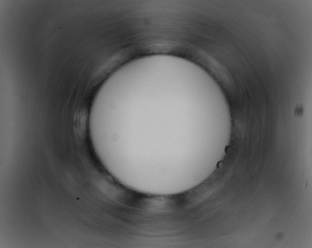 X0000101120118200807172009