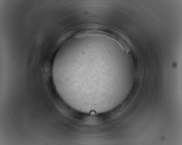 X0000101120119200807172009