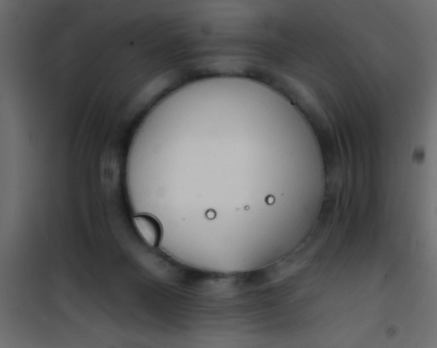 X0000101120120200807172009