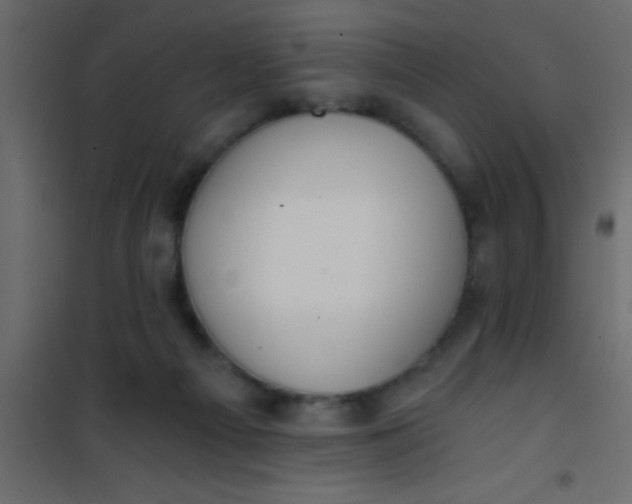 X0000101120121200807172009