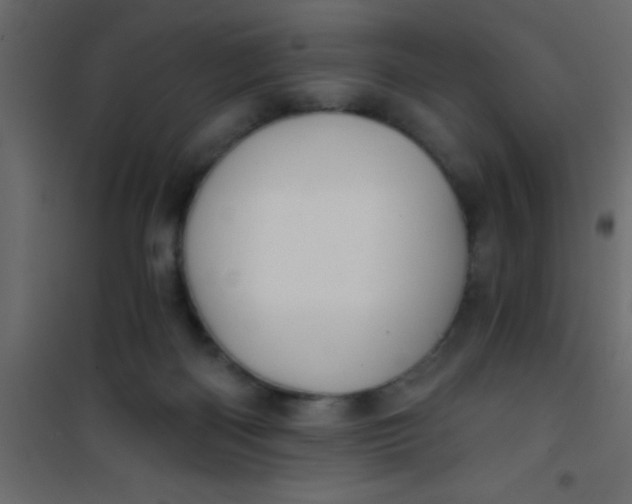 X0000101120122200807172009