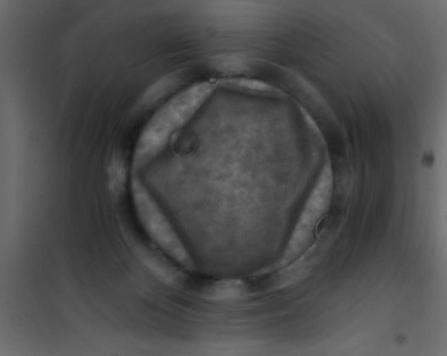 X0000101120124200807172009