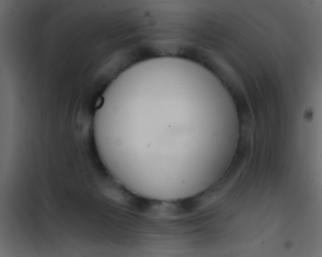 X0000101120125200807172009
