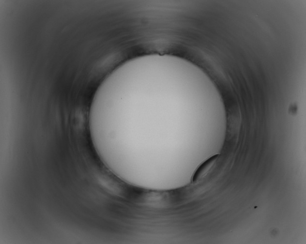 X0000101120126200807172009