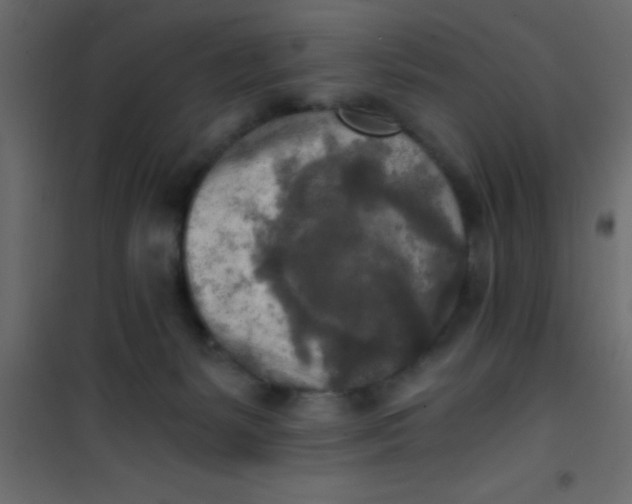 X0000101120127200807172009