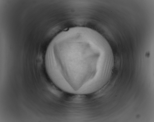 X0000101120128200807172009