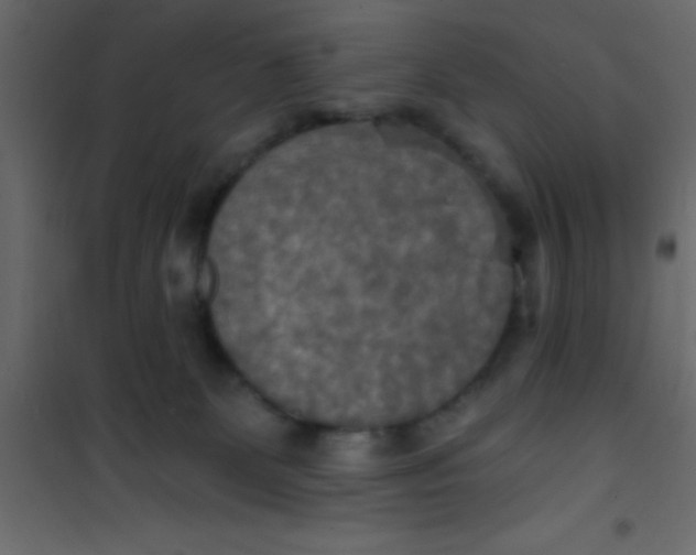 X0000101120131200807172009