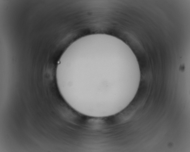 X0000101120133200807172009