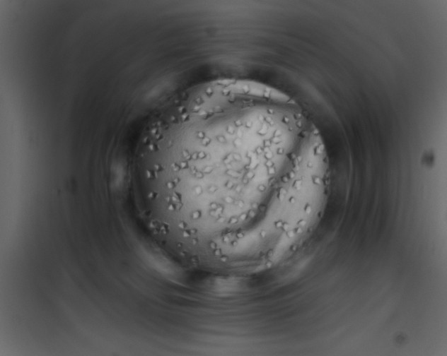 X0000101120134200807172009