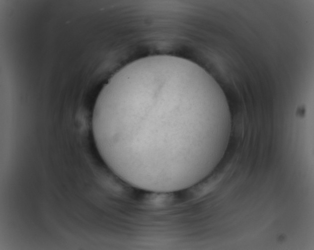 X0000101120135200807172009