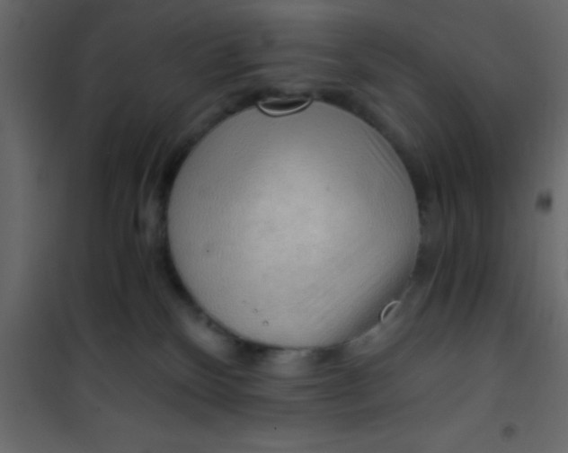 X0000101120136200807172009