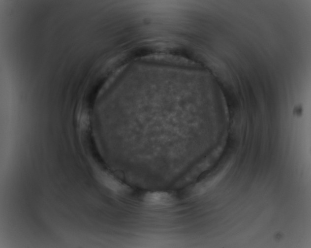 X0000101120137200807172009